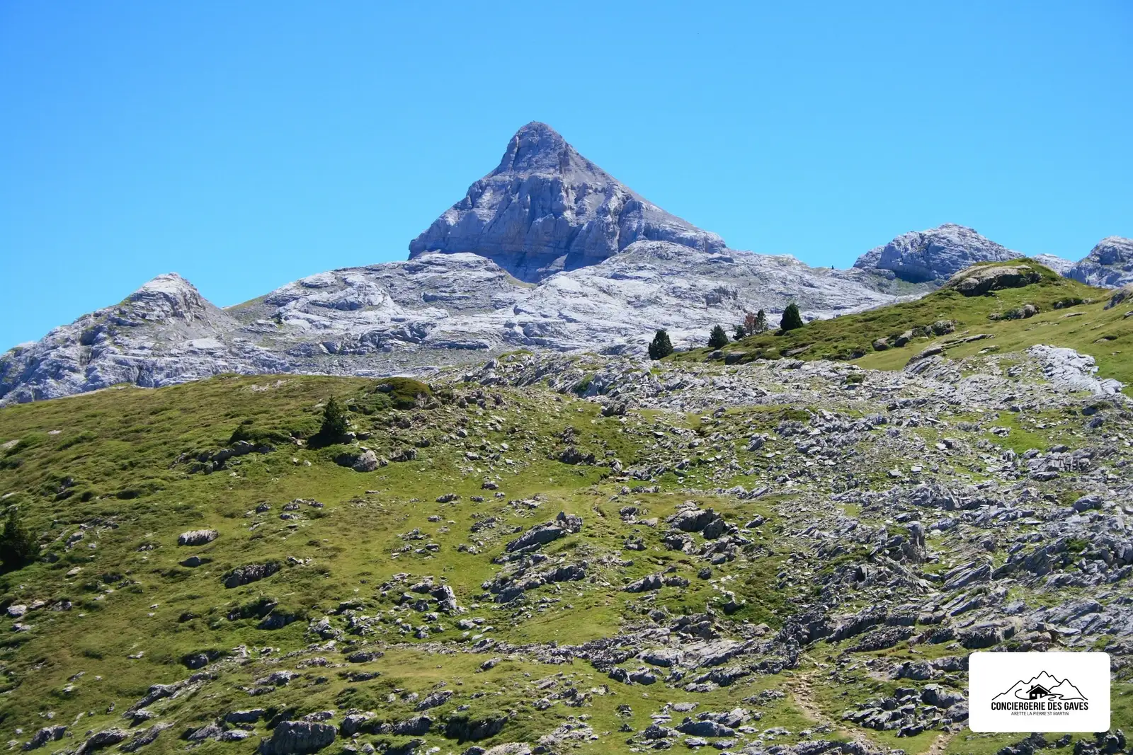 Le pic d'Anie au-dessus du lapiaz et des pelouses, en été